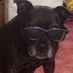 reginald chessun (@regbeermonster) Twitter profile photo