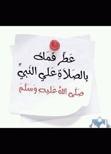 bassamAlshareef Profile Picture