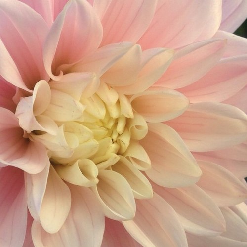 mediadesign_cp's profile picture. 