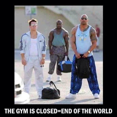 mousefue's profile picture. 