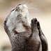 Church Funnies (@church_funnies) Twitter profile photo Church Funnies (@church_funnies) Twitter profile photo