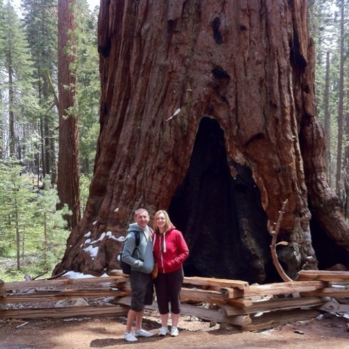 mlp1990's profile picture. 