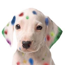 SpeedproSeattle's profile picture. Larger than Life Graphics - Banners, Posters, Tradeshow Displays, Vehicle Wraps, Window Graphics, Wall Murals, Commericial Branding