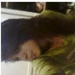 se clikou siga-me te direis quem sou !!!
