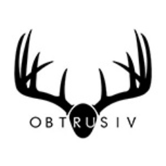 We create a platform for emerging artists who use various mediums. It is through their art, aesthetic, and poise that makes them OBTRUSIV.