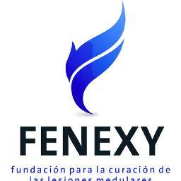 Fenexy acelera el progreso hacia una cura definitiva de las lesiones medulares mediante la financiación de las investigaciones científicas más prometedoras