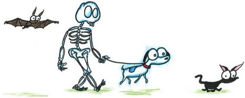 Fanático del hágalo usted mismo, eso incluye pensar. Papá de 72 perros y 3 gatas. Ortodoncista en mis ratos libres.