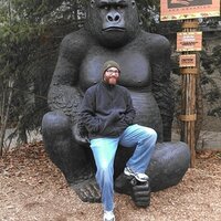 Adam Poulton (@poultski75) 's Twitter Profile