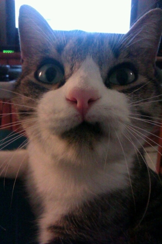 EdyelSucio's profile picture. 