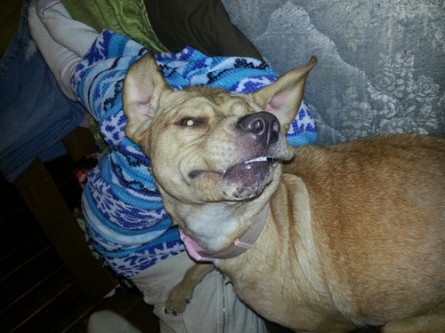 Josh_Huttunen's profile picture. 