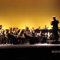 Husband of Dawn. Father of Harrison. Director of Bands- Van Wert High School. Hopes for the best... plans for the worst.