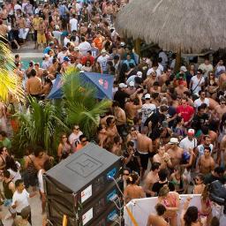 cooleandoxahi's profile picture. Me dedicó al serio estudio del muy aristocrático arte de no hacer absolutamente nada aparte de pasarmela cool!!!