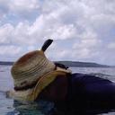 Dane Mcintosh - @ozzibear23 - Twitter