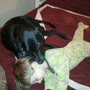 Wayne Sprouse - @SprouseWayne - Twitter