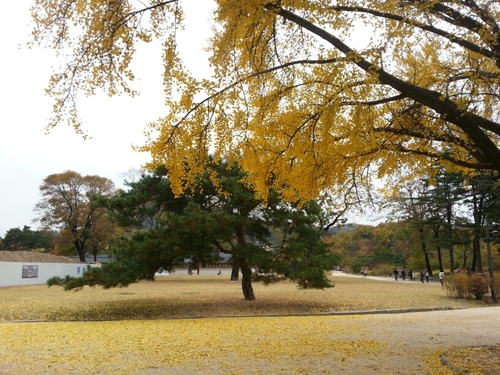 scorpion9079's profile picture. 건우아빠