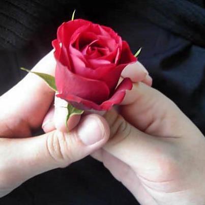 International Trade, Investment, Online marketing^^
Feel free to contact us...zesthwang@gmail.com