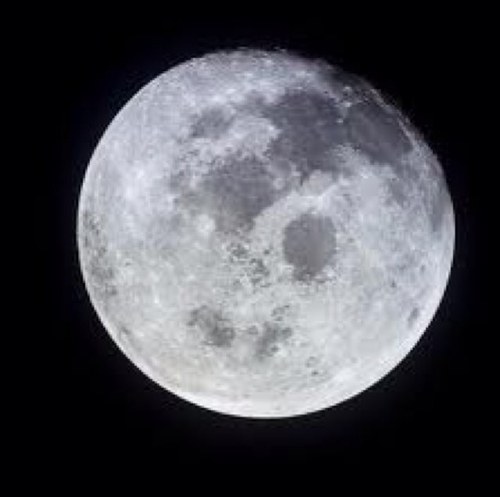 lemon67lime's profile picture. @Bhwgaming