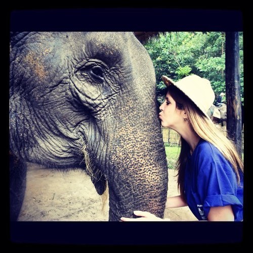 100% yucaTERCA! Love love love to smile! defensora de los animales, Mama de bruno y mamazona de corazon!