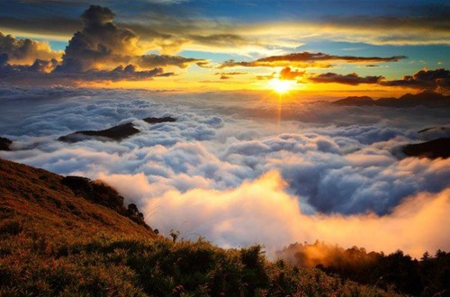 lchtwit's profile picture. 