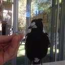 Glen McFarlane - @BuiltGlen - Twitter