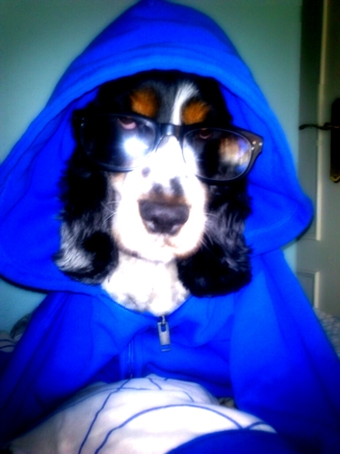 pick158's profile picture. Soy optimista, sí. Me gusta pensar que por cada cosa mala q pasa en el mundo hay cien buenas para sonreír :)