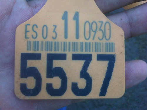 serenasanfoga's profile picture. 