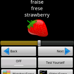 Learning French software provider for Android phones. Download your free application at Google Play and start learning French today!