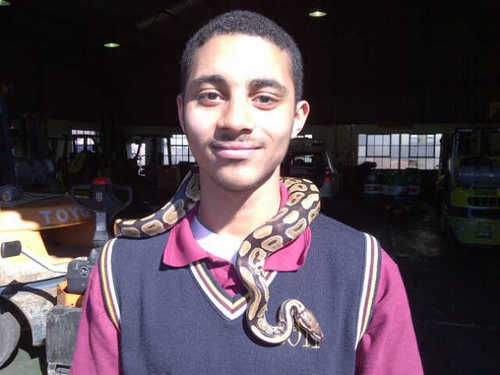 worsieworsman's profile picture. 