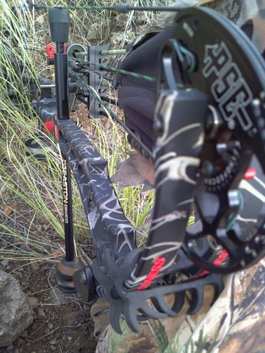 camolifehawaii's profile picture. LOVE THE TRILL OF THE HUNT,THE RATCHET NOISE FROM THE REEL WHEN A FISH IS ON,WAKING UP KNOWING I LIVE IN PARADISE.