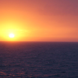 zinckmurcia's profile picture. 