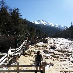 PandaRachel's profile picture. A giant Panda trapped in a girl's body, loves footy; a BIG fan of Manchester United. and a huge fan of Game of Thrones!