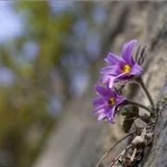 sunmibaek1's profile picture. 