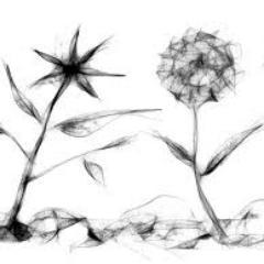 KijoonSeo's profile picture. 