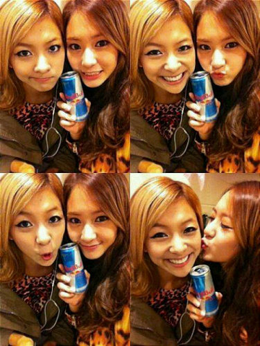 อันยองฉัน ลูน่า ปาร์ค เมนโวคอล จาก f(x) ฟอลมาคุยกันนะคะ ลูน่าไม่หยิ่งนะ ลูน่าเฟรนด์ลี่ ฟอลกลับทุกบอทแน่นอนเพียงแค่คุณทักมา :D