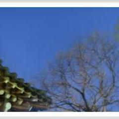 HyunsoonRoh's profile picture. 