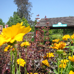 We are a family run nursery, garden centre & cafe. Situated in beautiful Derbyshire. If you're a plant person you'll love our nursery.