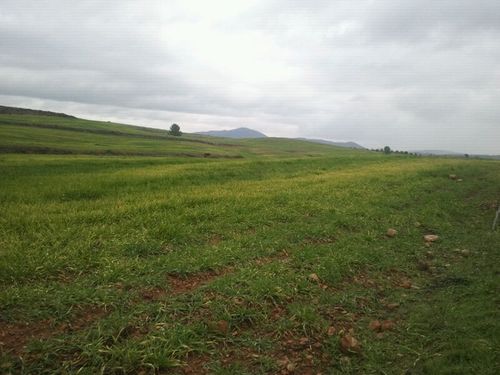 marian2877's profile picture. 