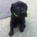 Blake Purnell - @blakepurnell14 - Twitter