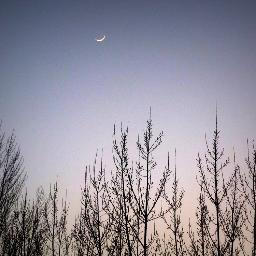 lucascuen's profile picture. Hasta los cojones de la gente que vive para incordiar...