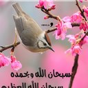 رحمتك ياربي (@05_zezo) Twitter