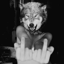 ●●● Nací borde y sigo siendo borde. ¿Que haces leyendo esto? Vete a la mierda. Mearé tu cuenta y huiré. ●●●