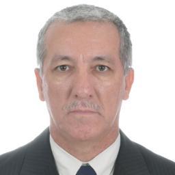 CONSULTOR / ASSESSOR - CALDEIRAS / FORNOS / VASOS DE PRESSÃO / SIMILARES - CELULOSE / PETROQUÍMICAS / QUÍMICAS / SUCROALCOOLEIRAS / AFINS