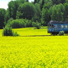 Miljöstudenter på SU som gör en skugg-MKB på Roslagsbanans förlängning till Arlanda. Följ och RT:a!