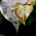 Wanda Hogan - @WandaHogan9 - Twitter