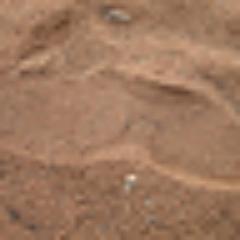 the_mad_ranter's profile picture. 