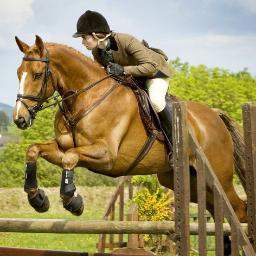 part time athlete, second for team Fleming. Keen horse rider