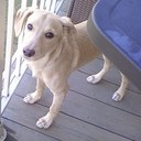 Kim Schenk - @crim_85 - Twitter