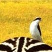 Siguenos, comparte y diviertete con nosotros, nuestros tweets van dirigidos a todoa aquellos que se rien y divierten de las locuras de la vida: