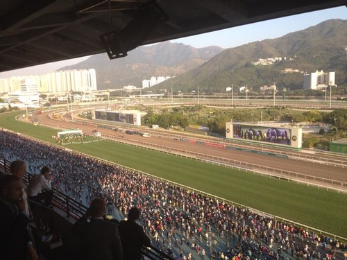 Horse Racing,Beaches,Live Life,WAFL EF Sharks,AFL