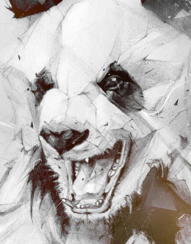 Davpanda's profile picture. vivir es creser .....creser es vivir tranquilo.....tranquilidad es creser confiado  haha